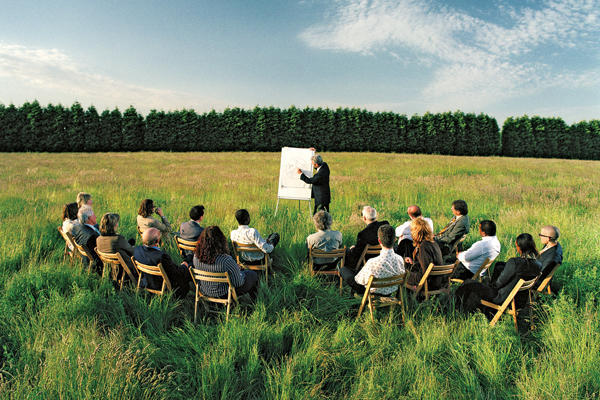 Sección corporativo actividad grupal